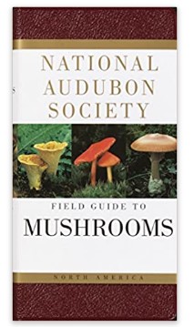 gifts for mushroom hunters